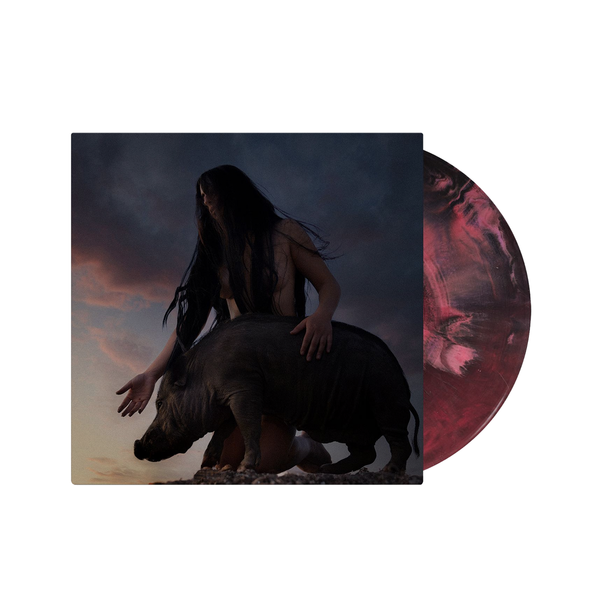 d19dd3667c3a3402393b8a8a52f763ca